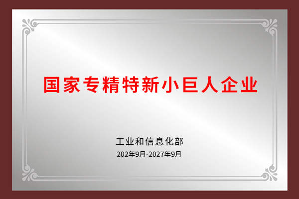 专精特新小巨人